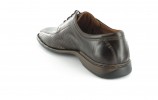 Josef Seibel Herrenschuhe Halbschuhe in �bergr��e Braun