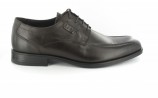 Camel Active XXL Herrenschuhe Business Schuhe Übergrössen Braun Camel Active XXL Herrenschuhe Business Schuhe Übergrössen Braun
