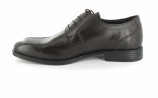 Camel Active XXL Herrenschuhe Business Schuhe Übergrössen Braun Camel Active XXL Herrenschuhe Business Schuhe Übergrössen Braun