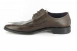 Fretz Men XXL Herren Businessschuhe Schuhe �bergr�ssen Braun