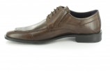 Fretz Men Herren Halbschuhe Schnürschuhe Übergrössen Braun Fretz Men Herren Halbschuhe Schnürschuhe Übergrössen Braun
