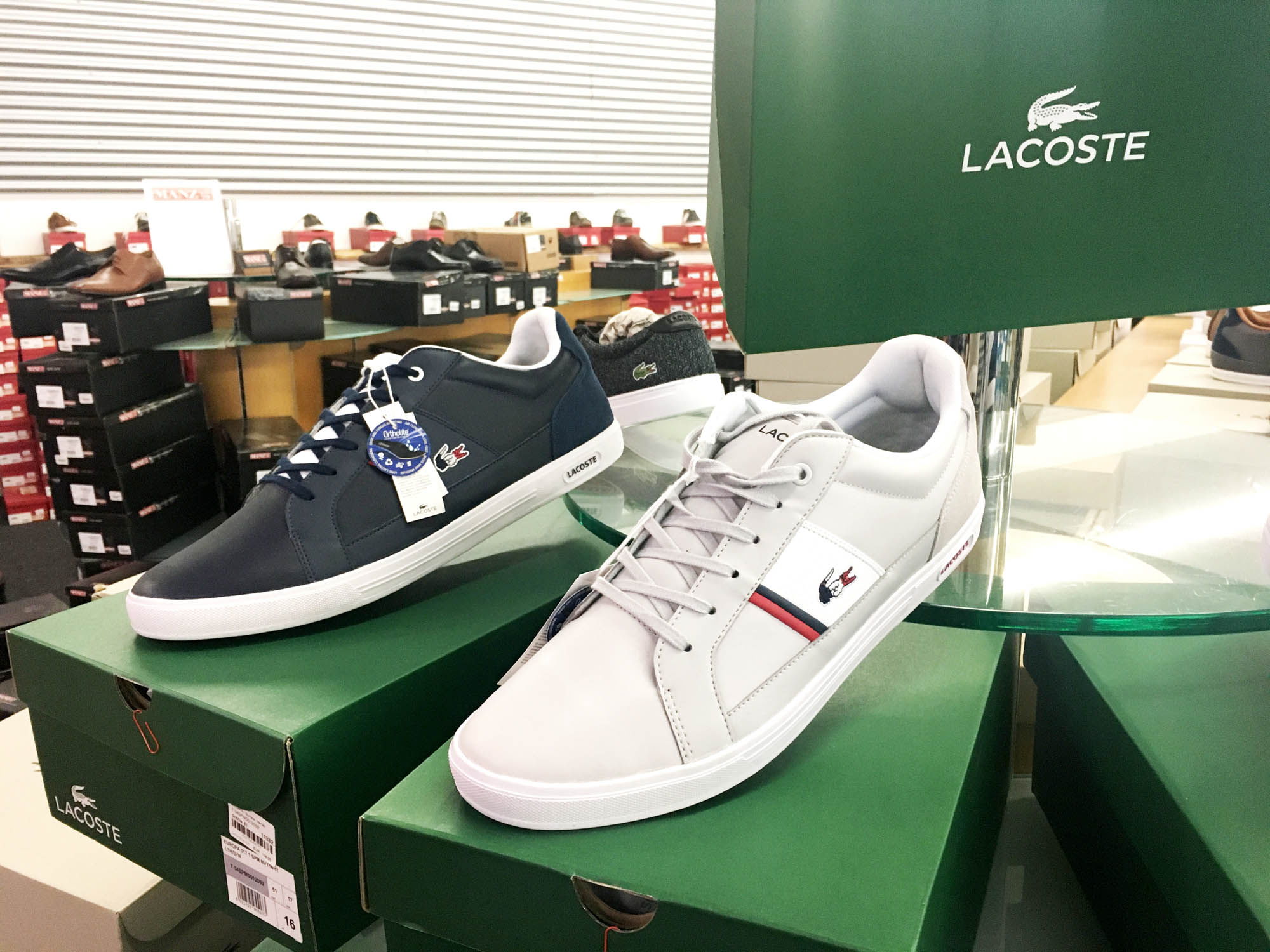 Herrenschuhe in Übergrößen von Lacoste bei schuhplus in den Größen 47 bis 53