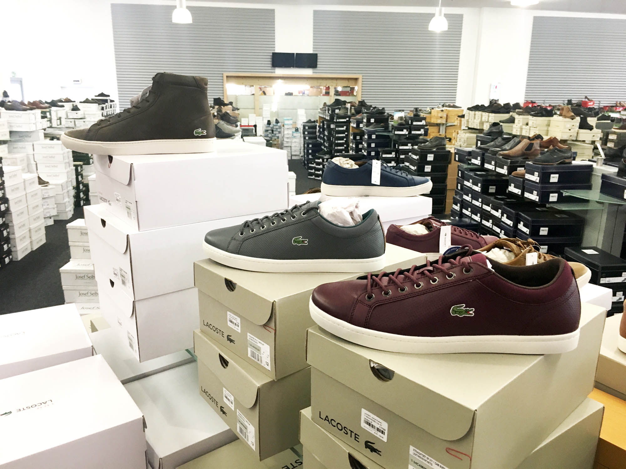 Herrenschuhe in Übergrößen von Lacoste bei schuhplus in den Größen 47 bis 53