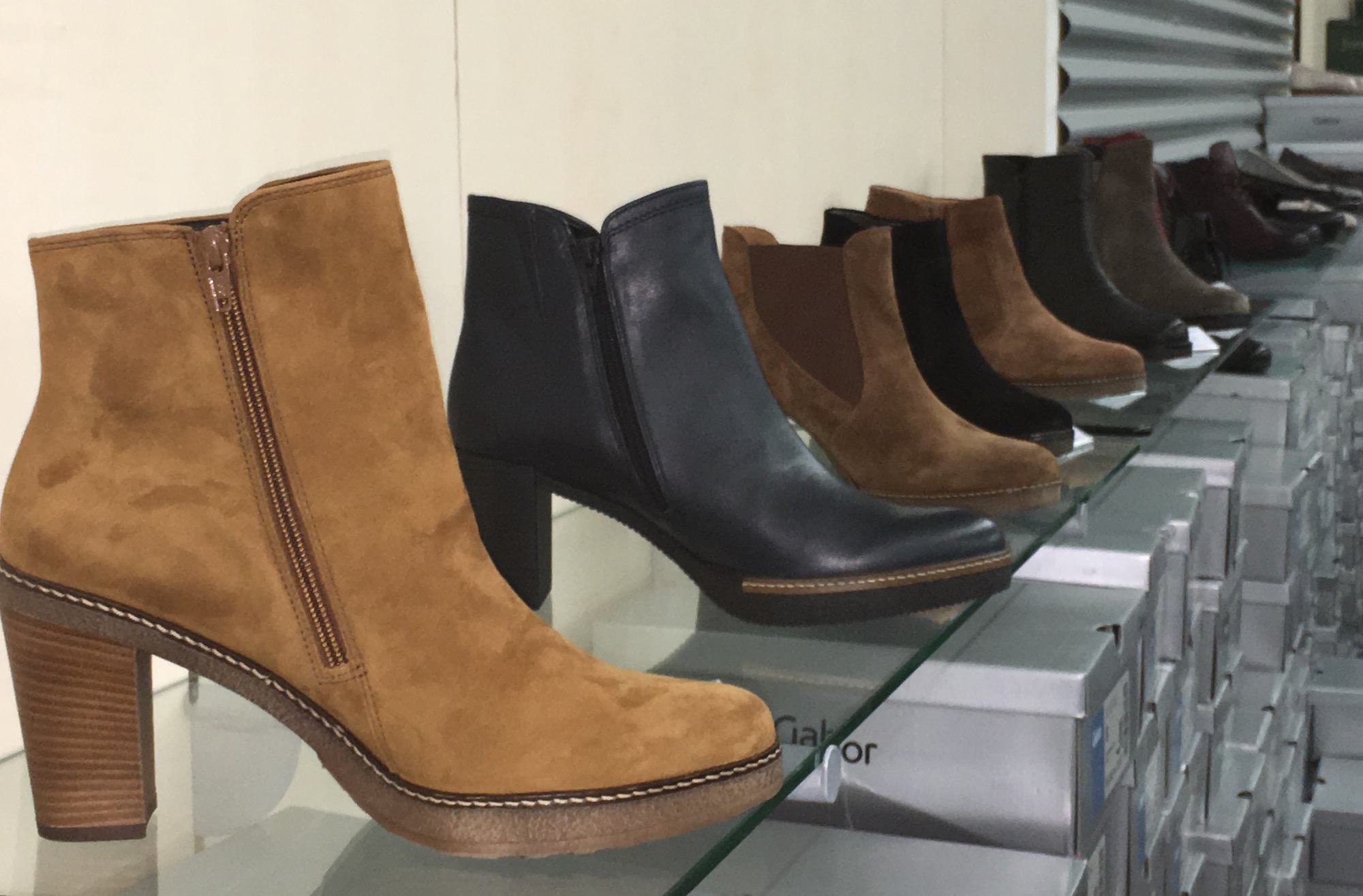Stiefeletten in Übergrößen bei schuhplus - Damenschuhe in großen Größen